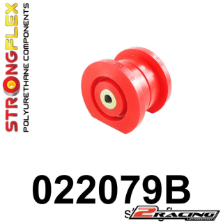 Zadní diferenciál zadní silentblok 022079B