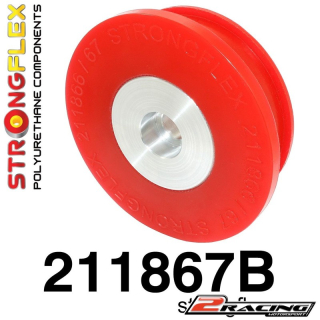 Zadní diferenciál zadní silentblok 211867B