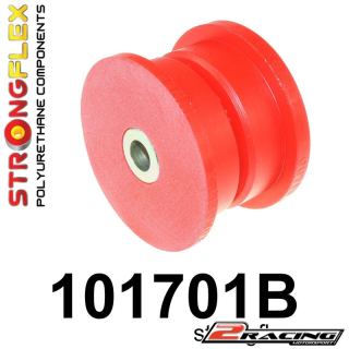 Zadní diferenciál silentblok 101701B