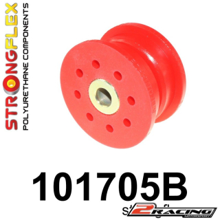 Zadní diferenciál zadní silentblok 101705B