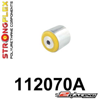 Zadní diferenciál zadní silentblok Sport 112070A