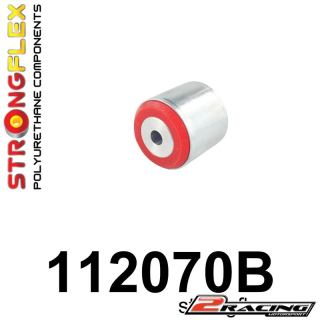 Zadní diferenciál zadní silentblok 112070B