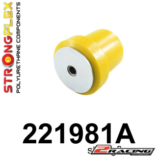 Zadní rameno silentblok Sport 221981A