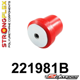 Zadní rameno silentblok 221981B